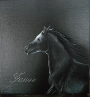 /album/galerie-photos/ombre-et-lumi%c3%a8re-jpg1/